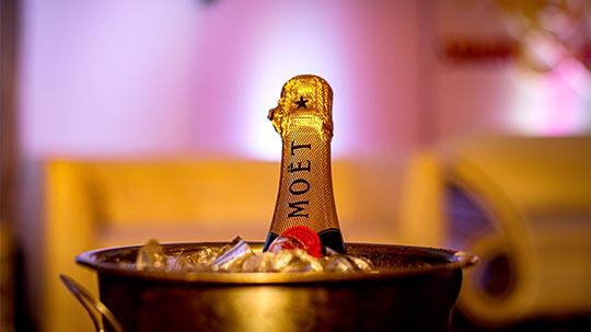 Fles Moët & Chandon champagne in koeler met ijs - thema huisconcert of tuinconcert live muziek